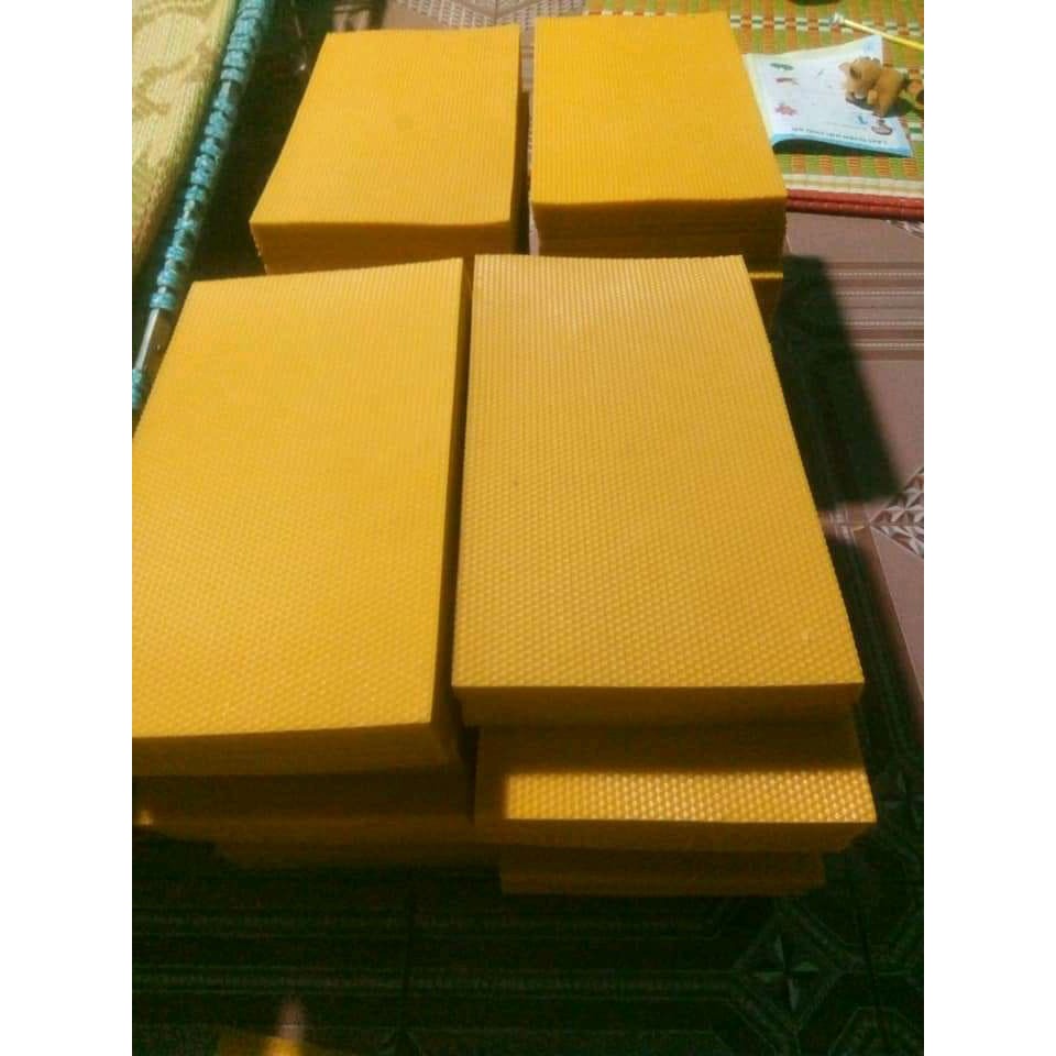10 chân tầng ong nội cầu 42