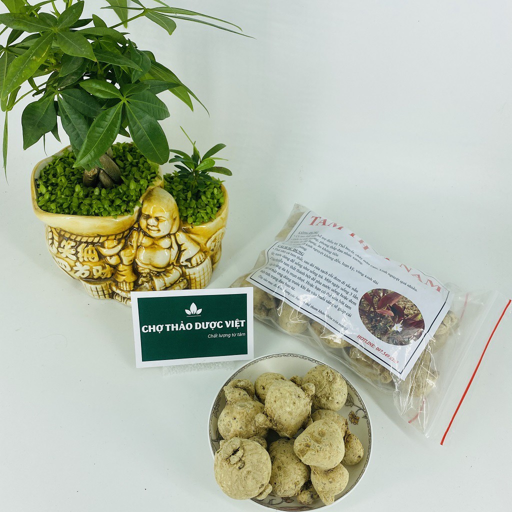 100gr Tam Thất Nam