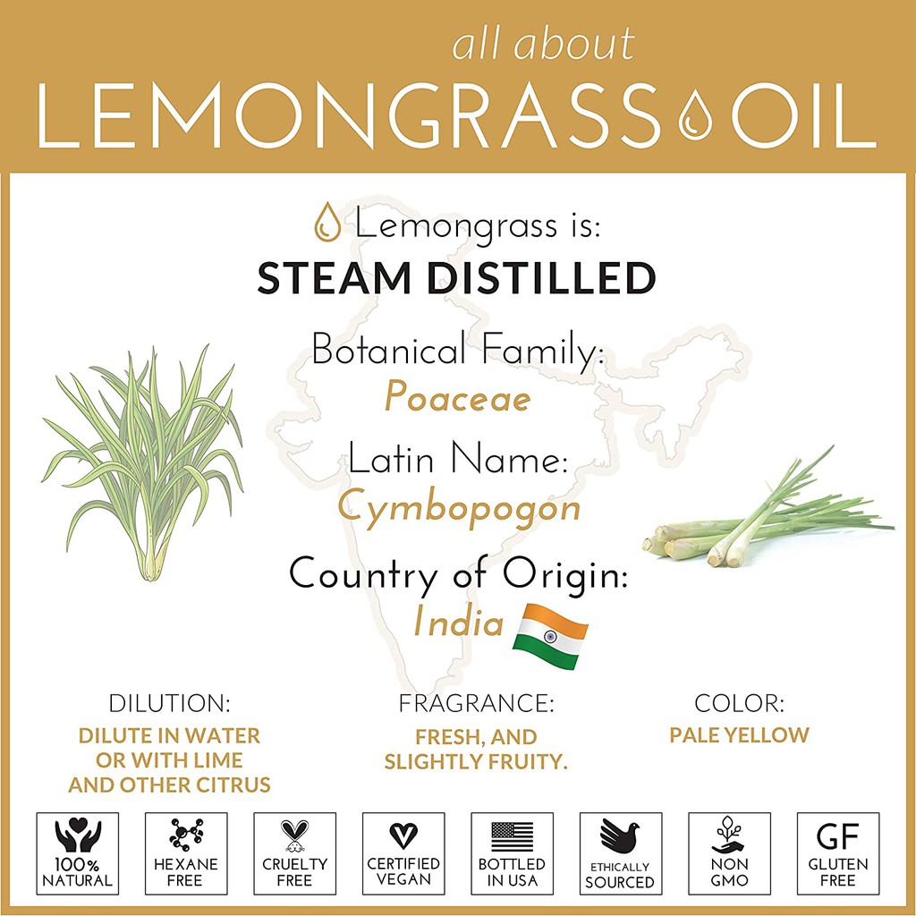 [Tinh dầu Sả artnaturals USA] ✅ Tinh Dầu Sả - Lemongrass 10ml, khử khuẩn không khí, giải cảm hiệu quả