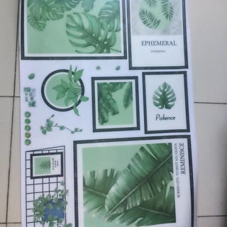 Decal dán tuong Khung lá xanh hàn quốc