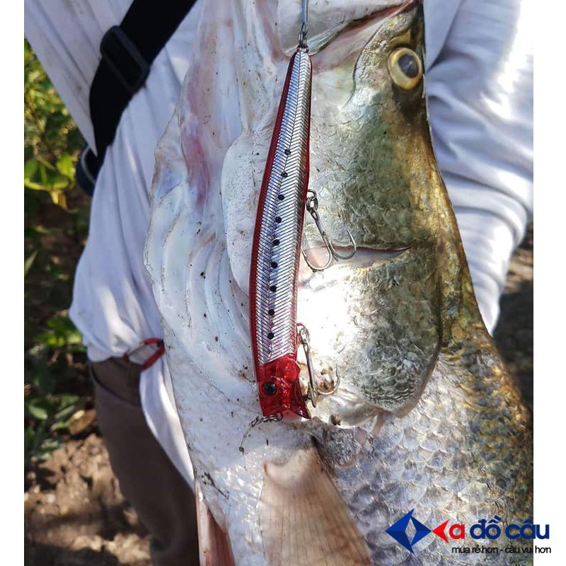 Minnow Kendo mồi câu cá chẽm, cá nhồng, cá Hồng