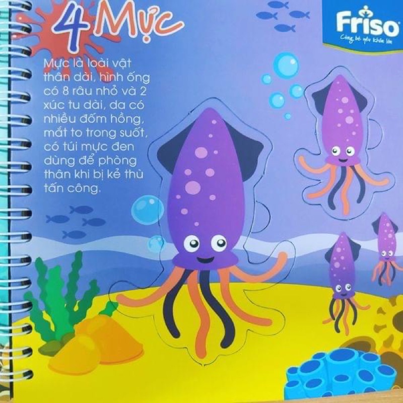 Bé học đếm Friso