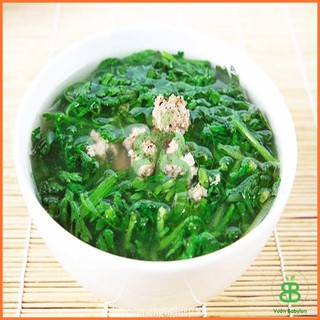 Hạt Giống Cúc Nếp , Dễ Trồng, Năng Suất Cao Phú Nông - Gói 20G