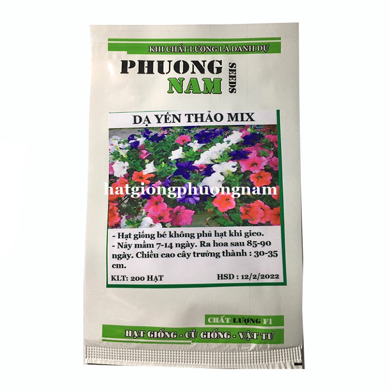 100H - HẠT GIỐNG HOA DẠ YẾN THẢO MIX