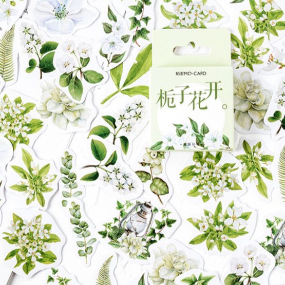 Hộp 45 Sticker hình dán Lá cây xanh trang trí Bullet journal, lịch, album dễ thương STI01