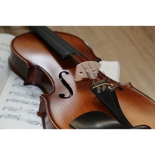 Đàn Amati vân thật