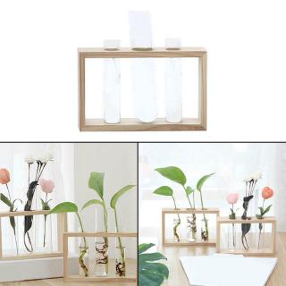 Lọ thủy tinh dạng ống trong suốt cắm hoa/trồng cây thủy sinh có khung đỡ bằng gỗ để bàn trang trí nhà ở