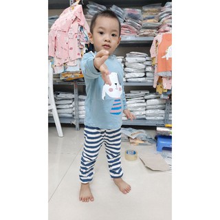Bộ thun