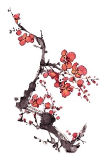 Phôi tranh quilling khổ a4