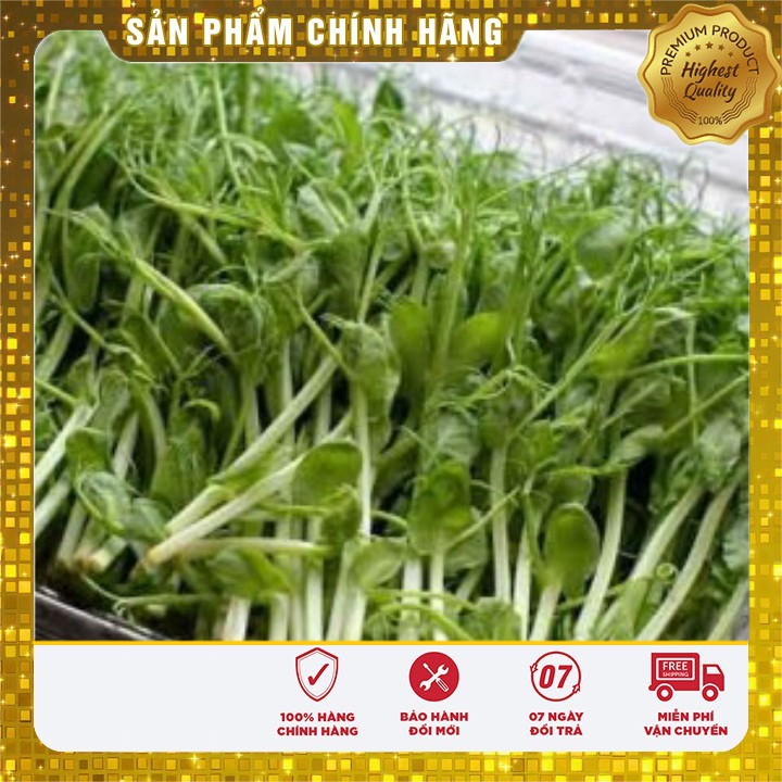 Hạt Giống Rau Mầm Đậu Hà Lan ( 50 gram)