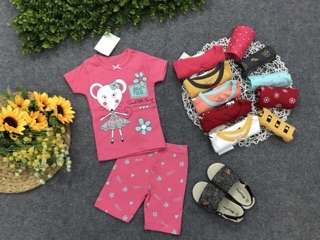 Set 4 bộ tay ngắn bé gái
