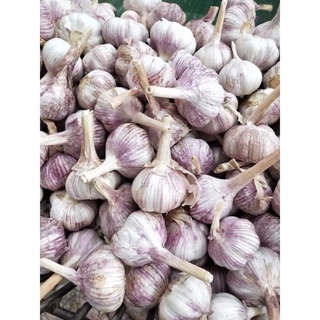 1kg tỏi tía _nhà trồng tép to thơm ngon ảnh thật