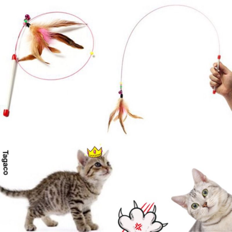 Đồ chơi cần câu gắn lông cho mèo bằng thép kích thích sự nhanh nhạy cho mèo