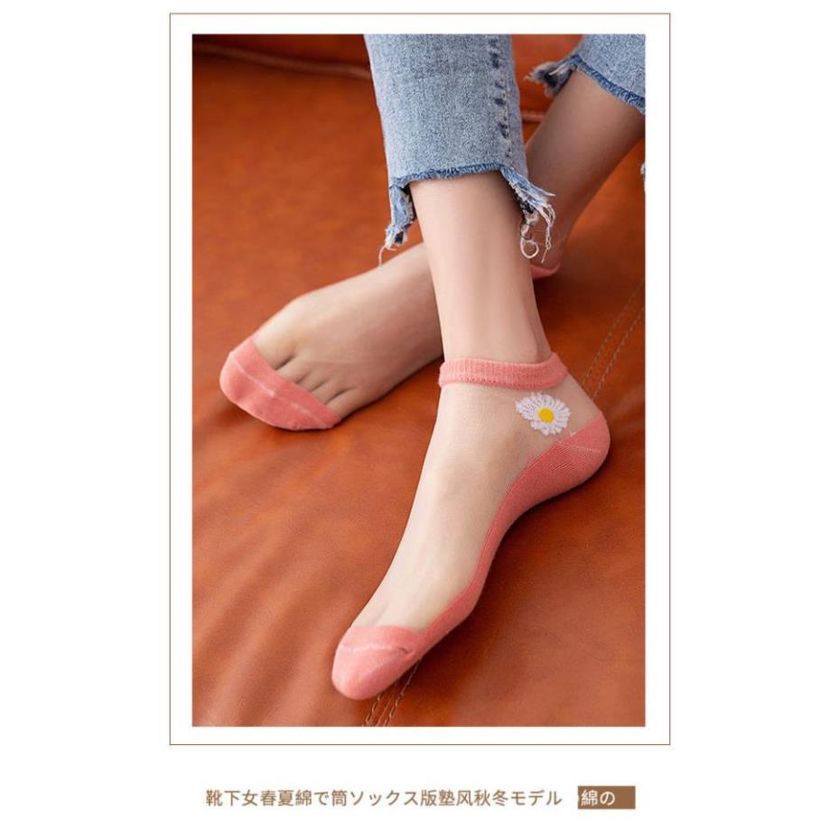 10 đôi Tất Lưới Xuyên Thấu Thiết Kế Hình Hoa Cúc Cho Nữ