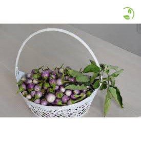 Hạt Giống Cà Pháo Tím Cao Sản 125 Phú Nông - Gói 0.5g - Eggplant Violet Ball