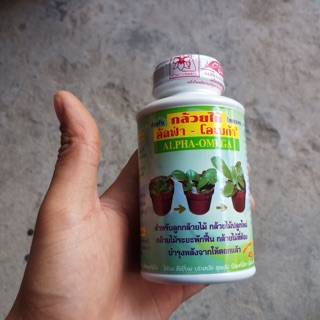 Thuốc Keiki Kích rễ của Thái