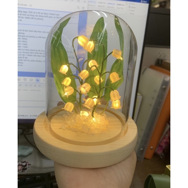 Đèn ngủ, LED ngủ để bàn hình hoa linh lan trong lồng kính decor phòng siêu đỉnh - Quà tặng sinh nhật ý nghĩa