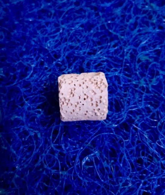 Sứ Viên Trắng Lọc Nước Hồ Cá 500gr