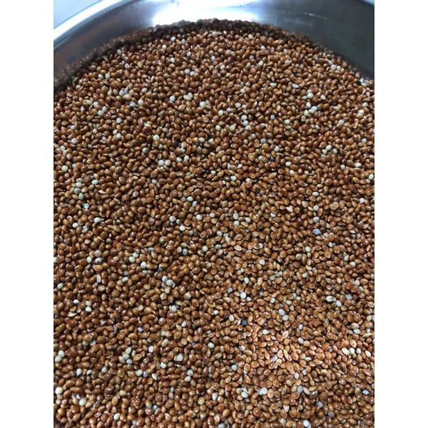 1KG HẠT KÊ BÓNG ĐỎ  CHO CHIM CẢNH, VẸT, YẾN PHỤNG