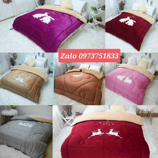 Chăn lông cừu Hapiness lạc đà thêu