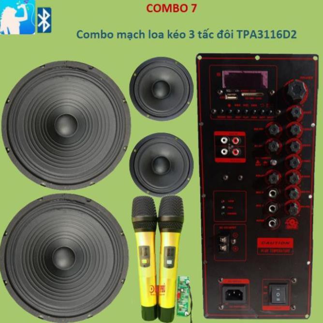 Combo Mạch loa kéo 3 tấc đôi TPA3116D2 2 kênh riêng biệt