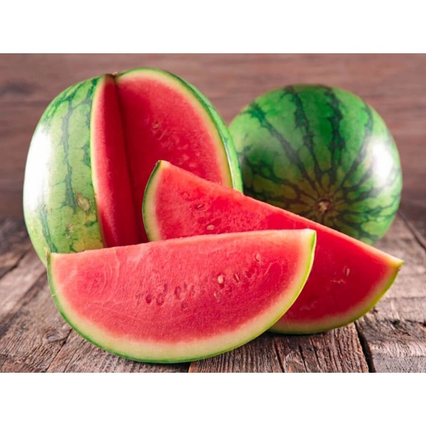 Hạt giống rau củ quả COMBO 5 loại quả trồng chậu, vườn dễ chăm sóc, tỷ lệ nảy mầm cao RADO