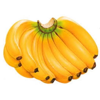 Giống chuối già nam mỹ