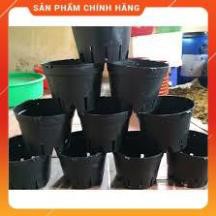 Bộ 20 CHẬU NHỰA TRỒNG LAN F21