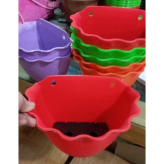 Chậu ốp tường siêu đẹp