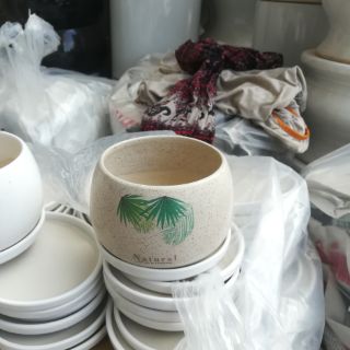 Đế Lót Chậu Sứ- Đĩa Lót Chậu