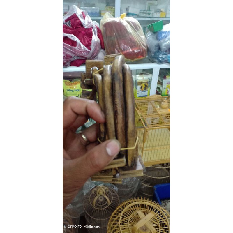 Cầu Góc 2 tai bằng Mây- cầu góc cho chim -00x00x00 giúp lồng chim thêm rực rỡ