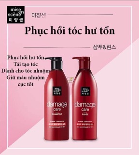 Combo dầu gội và xả perfect