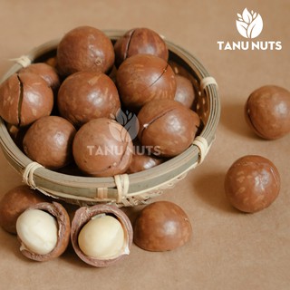 Hạt macca tây nguyên tanu nuts size 22-28
