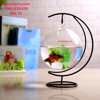 Bể Cá Mini Cung Trăng 16 Cỡ To ( Tặng kèm combo phụ kiện trang trí )