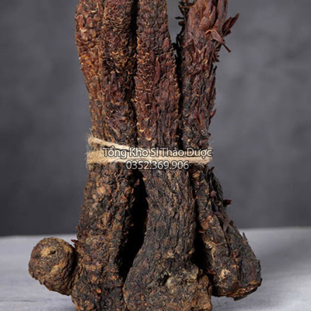 Nhục Thung Dung 100g