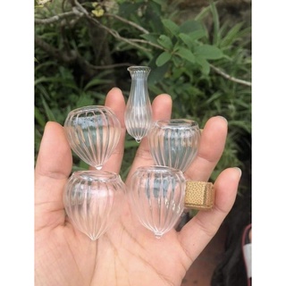 Cóng chim khuyên cóng thủy tinh khuyên múi đế nhọt sẵn tai tre tàu