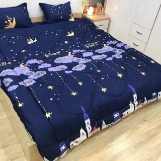 [Rẻ Vô Địch] Bộ Chăn Phao 5 Món Ga Gối Poly Thương Hiệu Chăn Bông Như Hình [Loại Bông Dày]