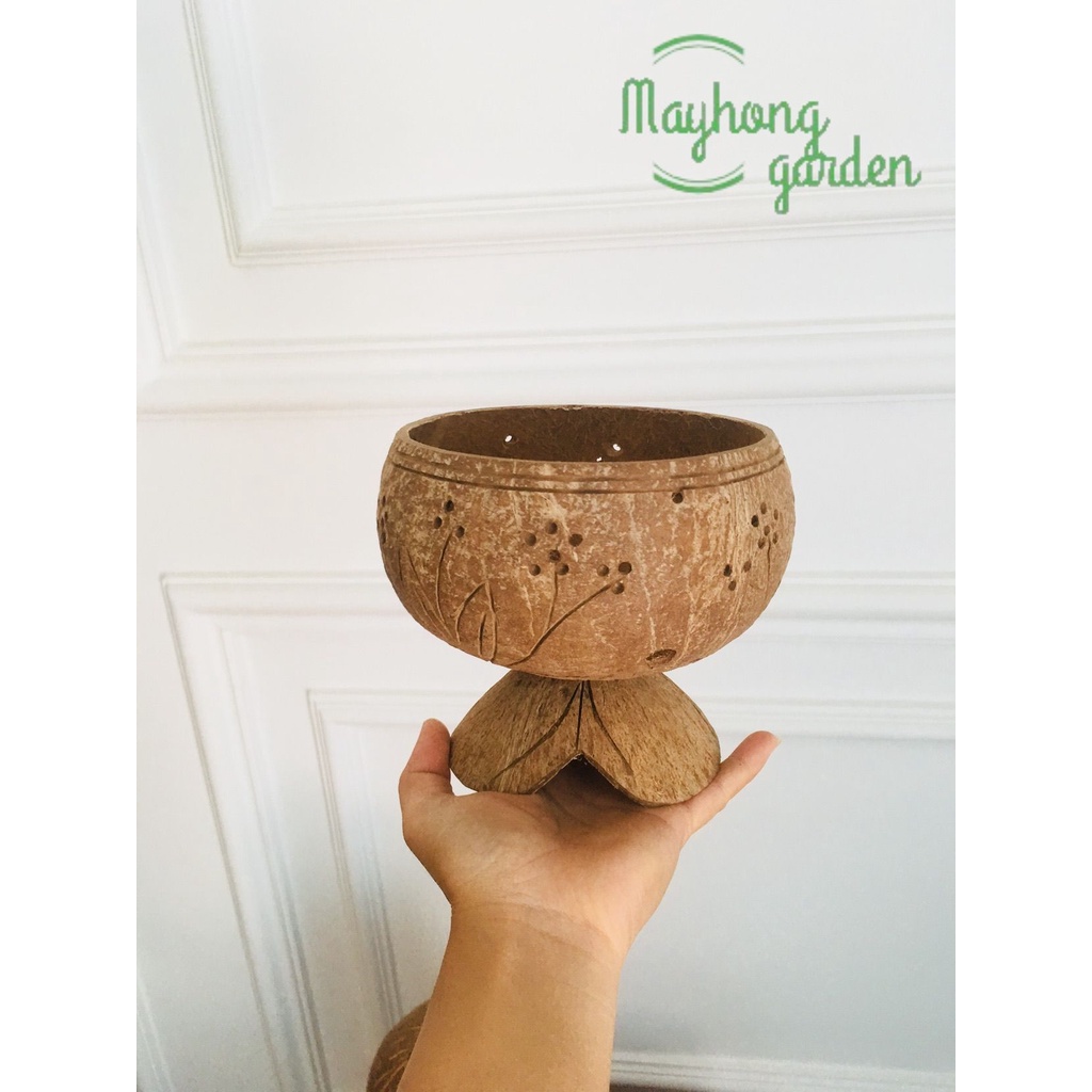 5 chậu gáo dừa miêng trơn, hoa văn có đế