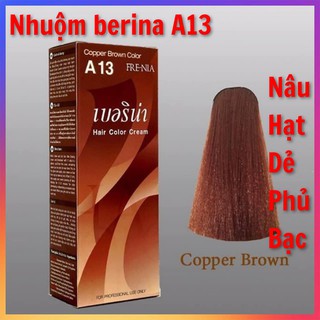 Thuốc nhuộm tóc Berina A13
