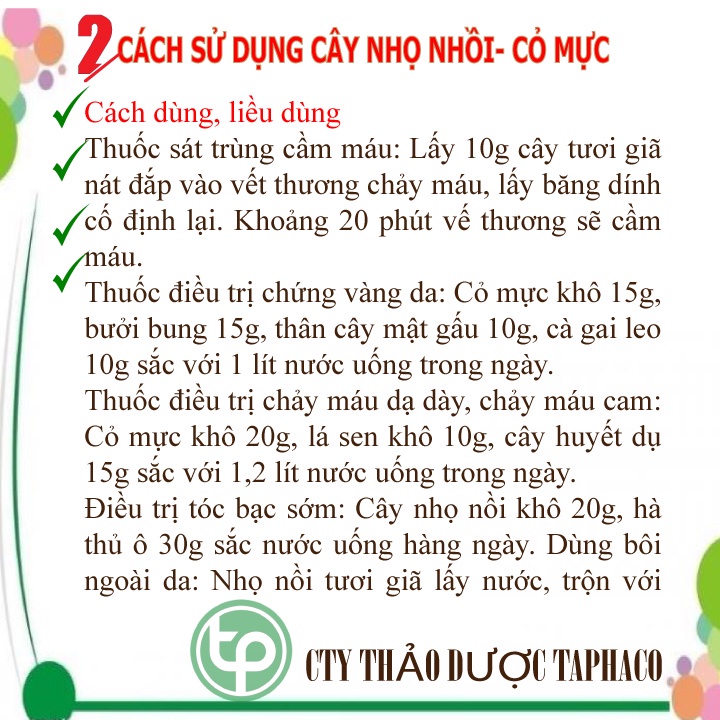 Cây Nhọ Nồi  Sấy Khô 500g