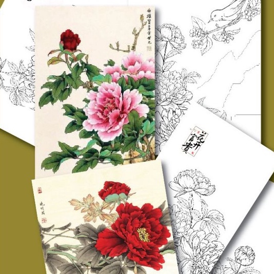 Line art tranh tô màu nước chủ để hoa mẫu đơn cổ