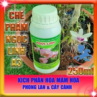 Chế Phẩm Ngọc Linh A3 250cc | kích thích phân hóa mầm hoa