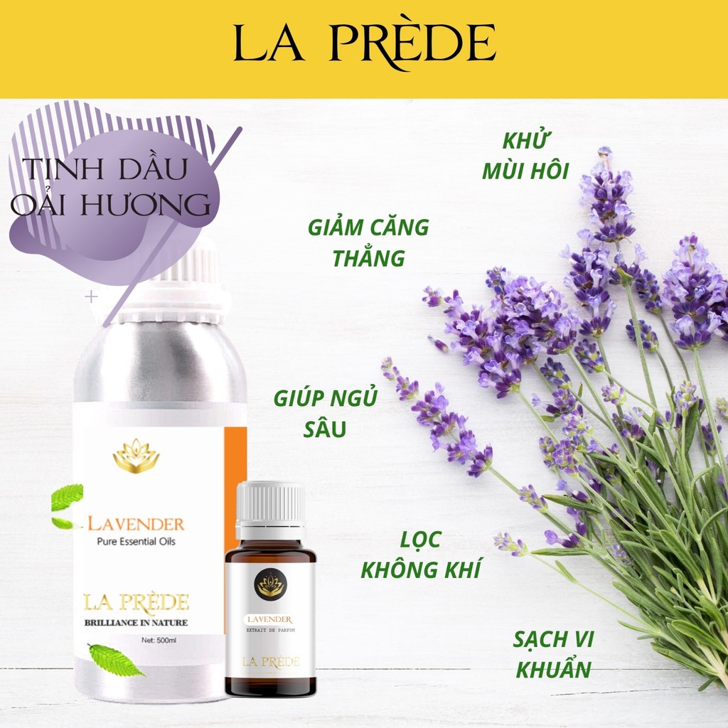 Tinh dầu cao cấp Oải Hương (Made in india) Lavender 15ml