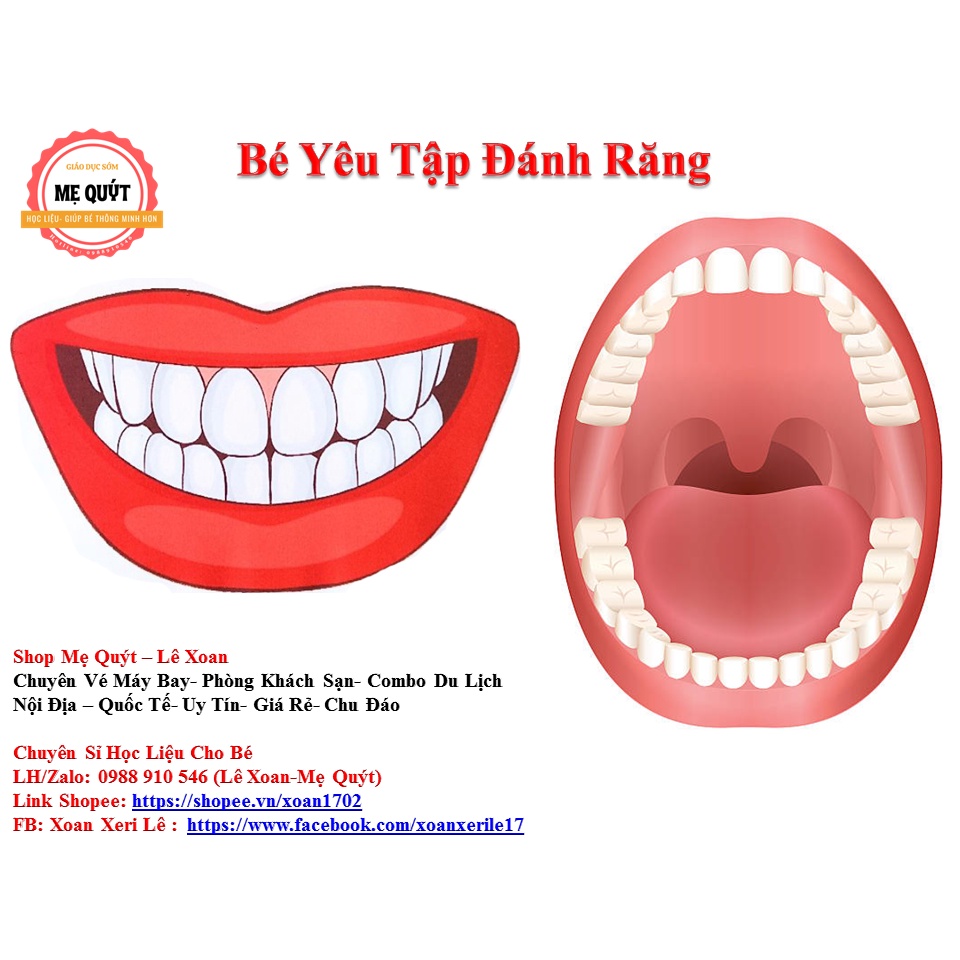 Học Liệu Hàm Răng Cùng Bé Yêu Tập Đánh Răng - Ép Plastic Không Thấm Nước, Mực vẽ Tự Xóa Được