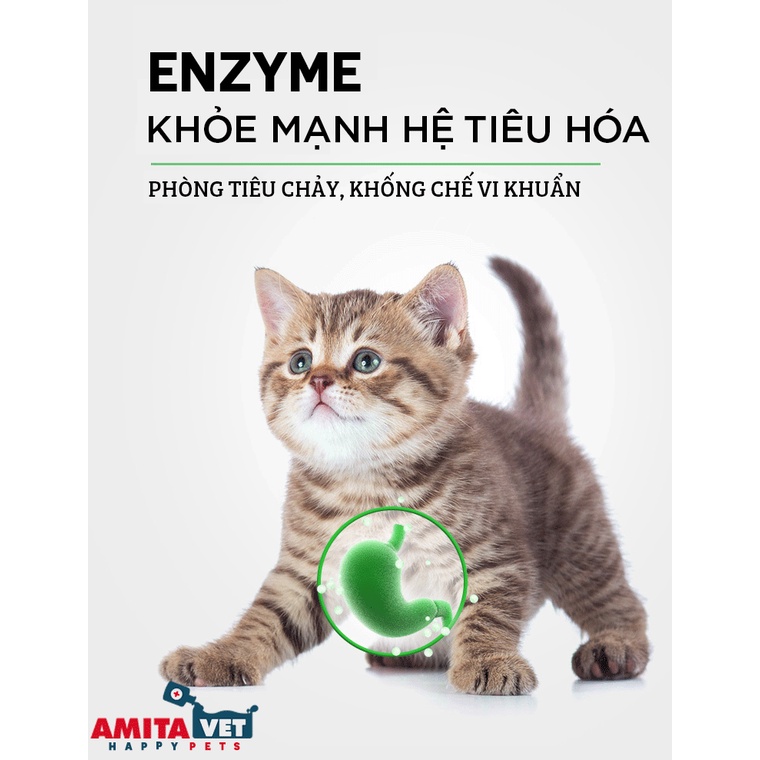 Men tiêu hóa cho chó mèo ENZYME 150g Từ AMITAVET giúp thú cưng tiêu hóa tốt  phân hết mùi hôi thối điều tiết hệ tiêu hóa