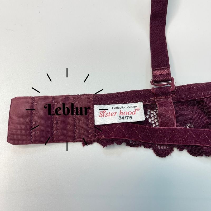 Áo ngực ren cup B có gọng có mút dày 2cm, áo ngực Thái Lan Sisterhood 2440 cao cấp, Leblur