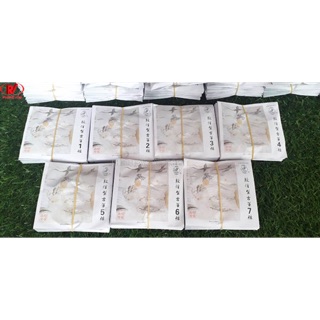 Dây đàn cổ tranh trung quốc 21 dây