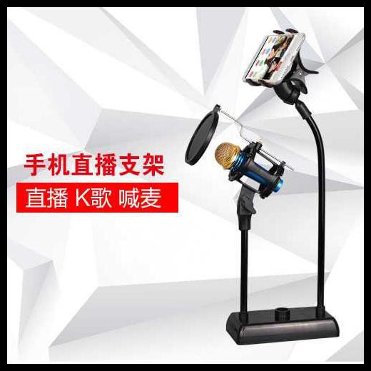Giá Đỡ Micro Có Bộ Lọc Âm Thanh Dm-722 | BigBuy360 - bigbuy360.vn