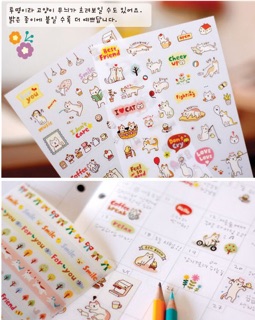 Bộ 6 Sticker Meo Meo