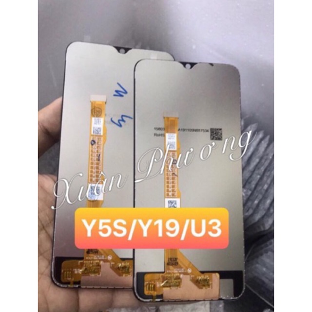 Màn hình Vivo Y19 / Y5S/ U3